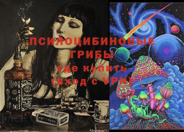 2c-b Горнозаводск