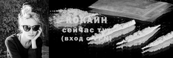 молекула духа Горно-Алтайск