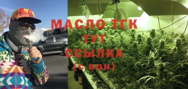 2c-b Горнозаводск