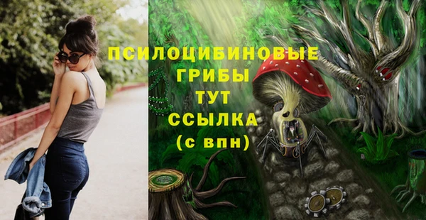 молекула духа Горно-Алтайск
