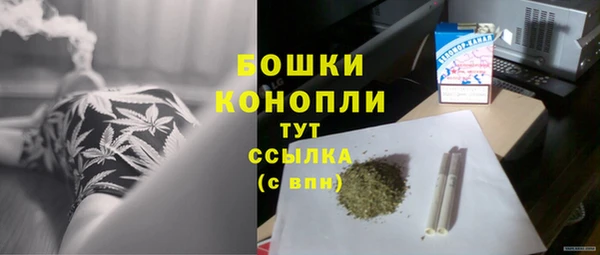 молекула духа Горно-Алтайск