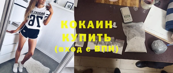 молекула духа Горно-Алтайск