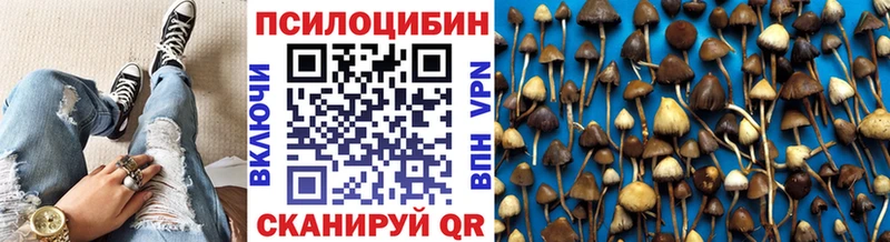 Купить где  Александров  Галлюциногенные грибы ЛСД 