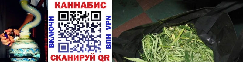 Купить закладки  Александров  Канабис SATIVA & INDICA 